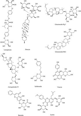 Natural products: promising therapeutics for targeting regulatory immune cells in the tumor microenvironment